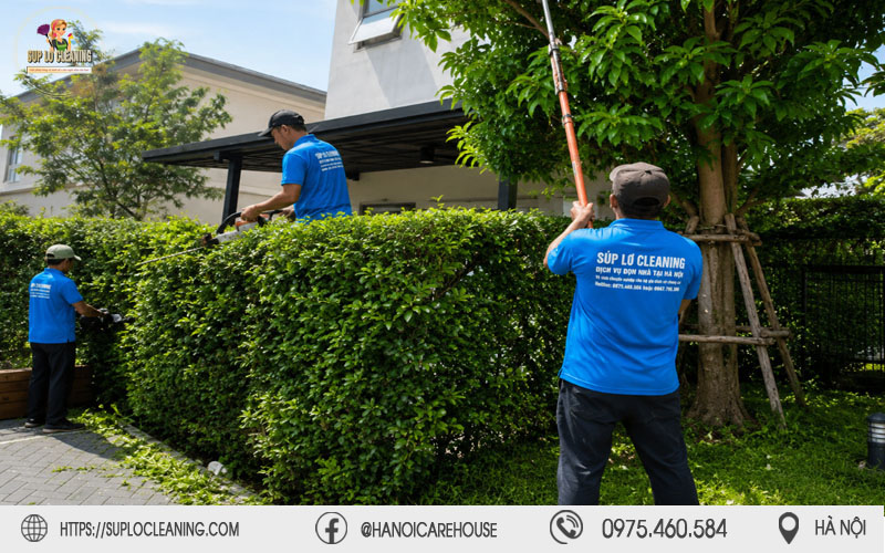 Súp lơ Cleaning xử lý cành cây cao, đảm bảo an toàn cho không gian sống tại Hà Nội