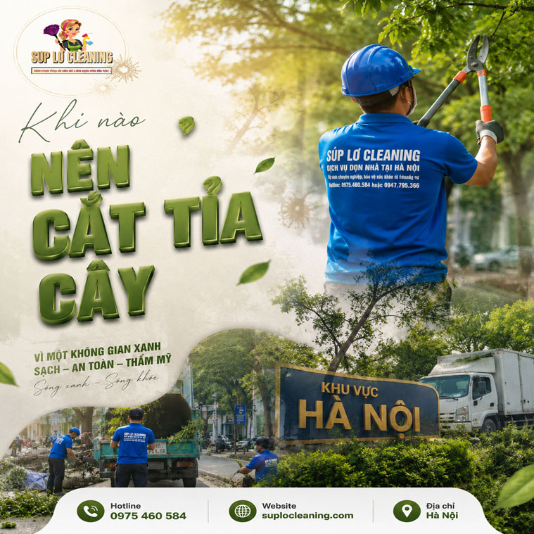 Khi Nao Nen Cat Tia Cay
