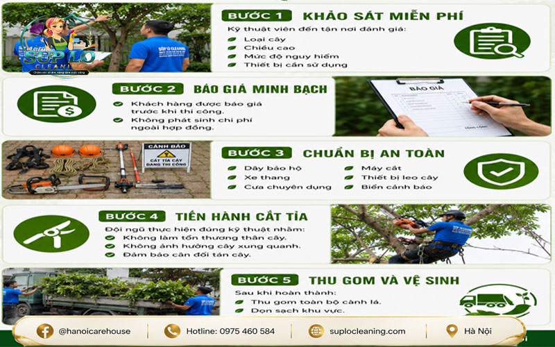 Quy trình cắt tỉa cây xanh tại Tây Hồ của Súp Lơ Cleaning