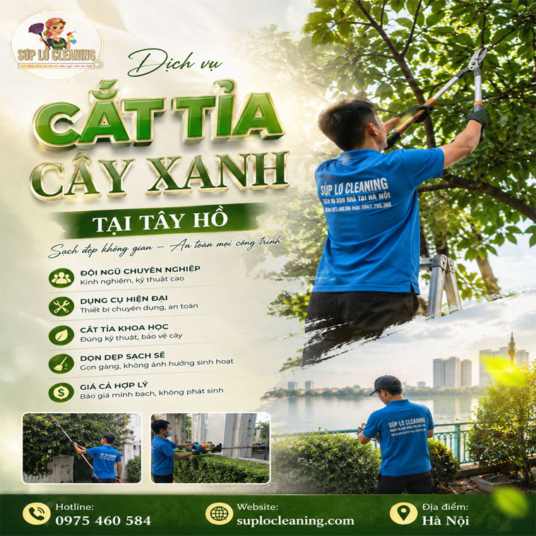 Cat Tia Cay Xanh Tai Tay Ho
