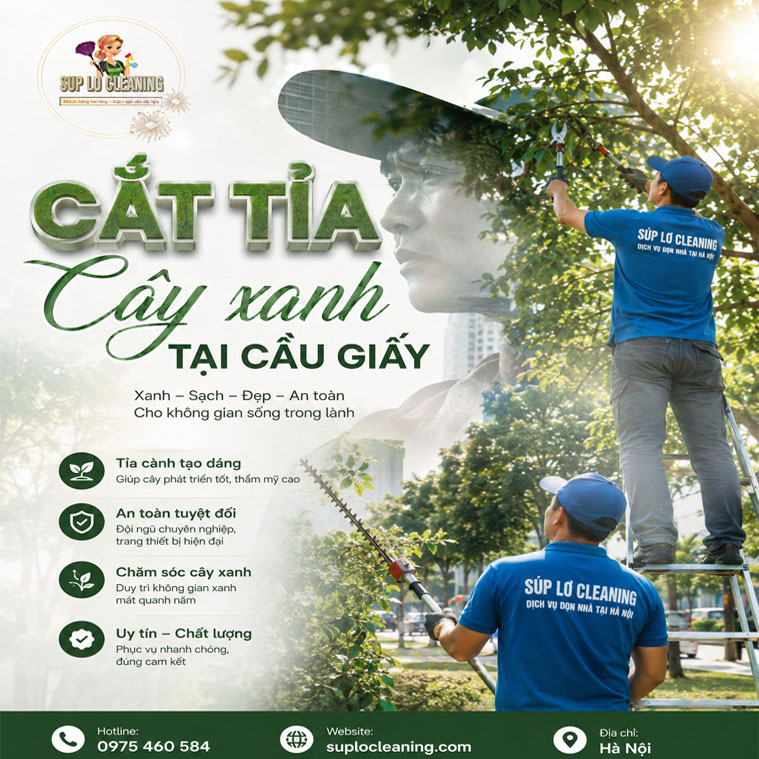 Cat Tia Cay Xanh Tai Cau Giay