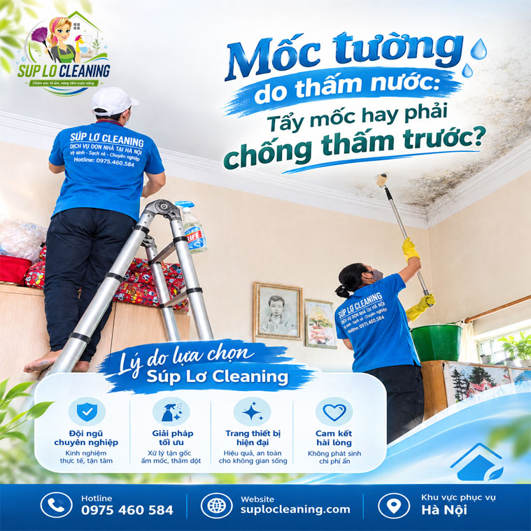 Moc Tuong Do Tham Nuoc