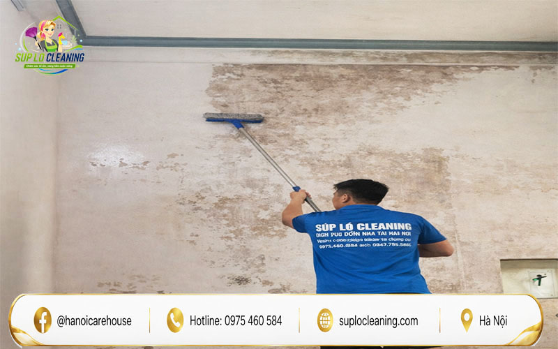 Tường bị mốc do thấm nước và độ ẩm cao