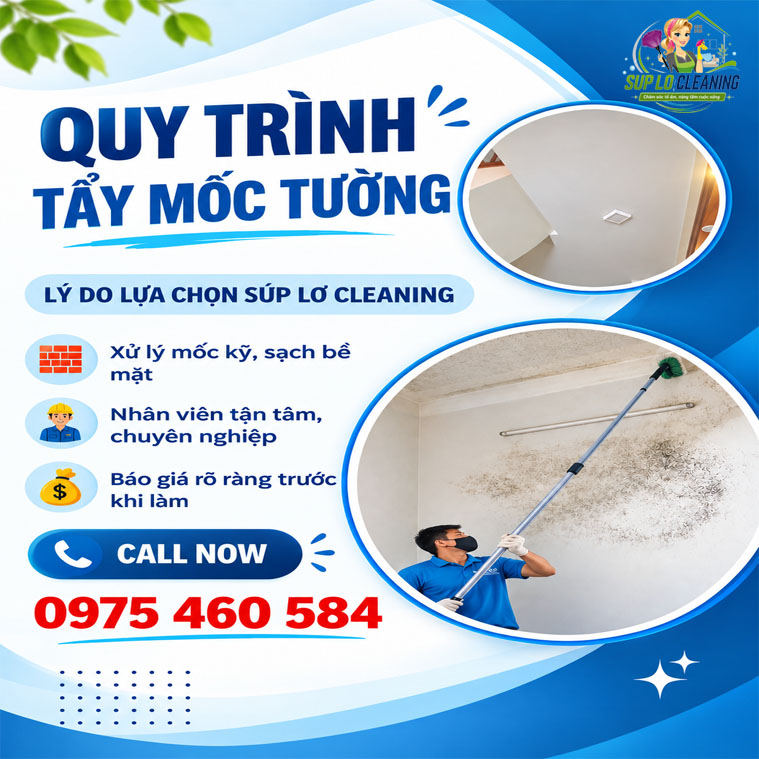 Quy Trinh Tay Moc Tuong