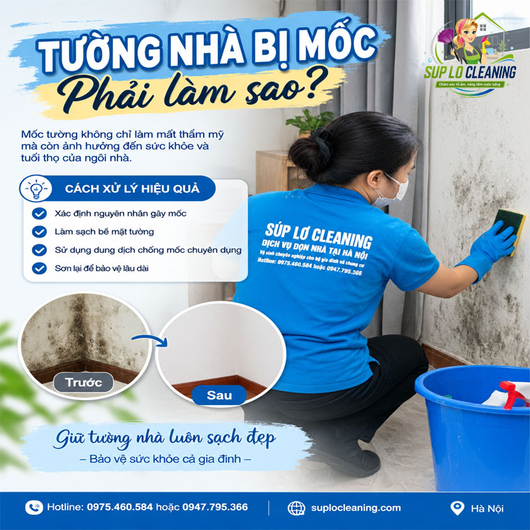 Tuong Nha Bi Moc Phai Lam Sao