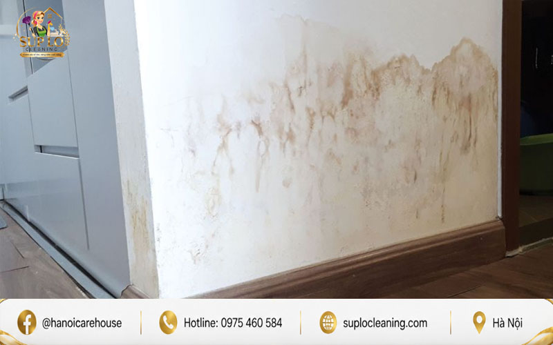 Dấu hiệu chân tường rộp mốc đen cảnh báo gia chủ cần xử lý mốc chân tường kịp thời