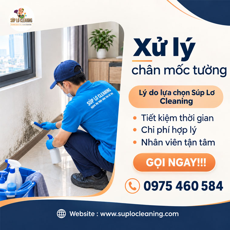 🛡️ Xử Lý Mốc Chân Tường Triệt Để 100%: Cách Trị Ẩm Mốc Chân Tường