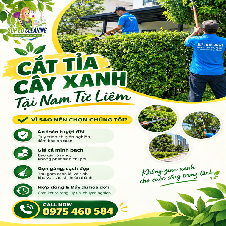 Cat Tia Cay Xanh Tai Nam Tu Liem