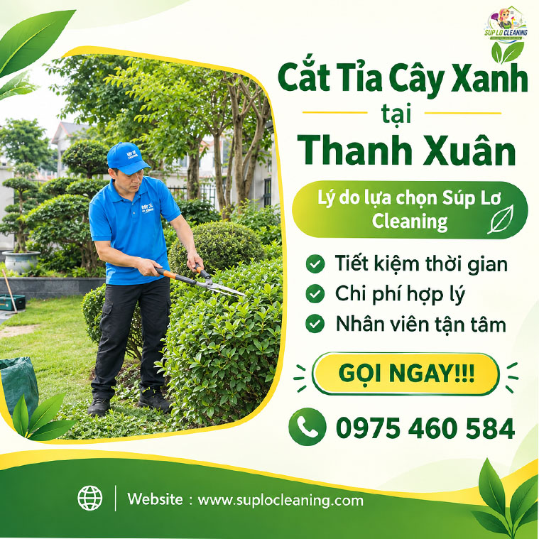 Cat Tia Cay Xanh Tai Thanh Xuan