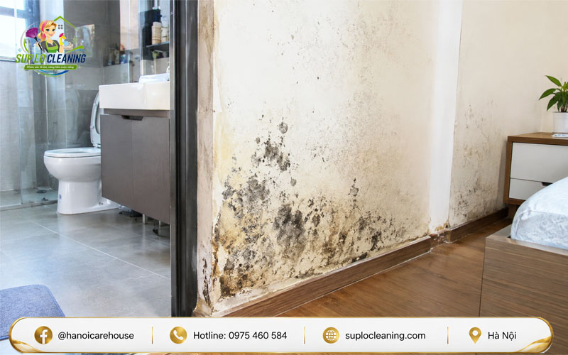Vết mốc trên tường do thấm nước từ nhà vệ sinh