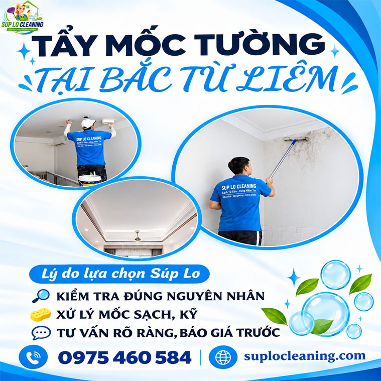 Tay Moc Tuong Tai Bac Tu Liem